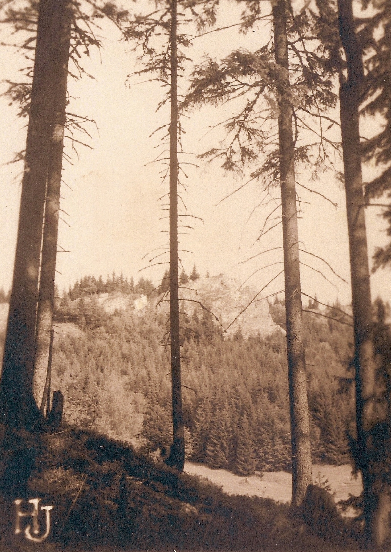 Čuntava
