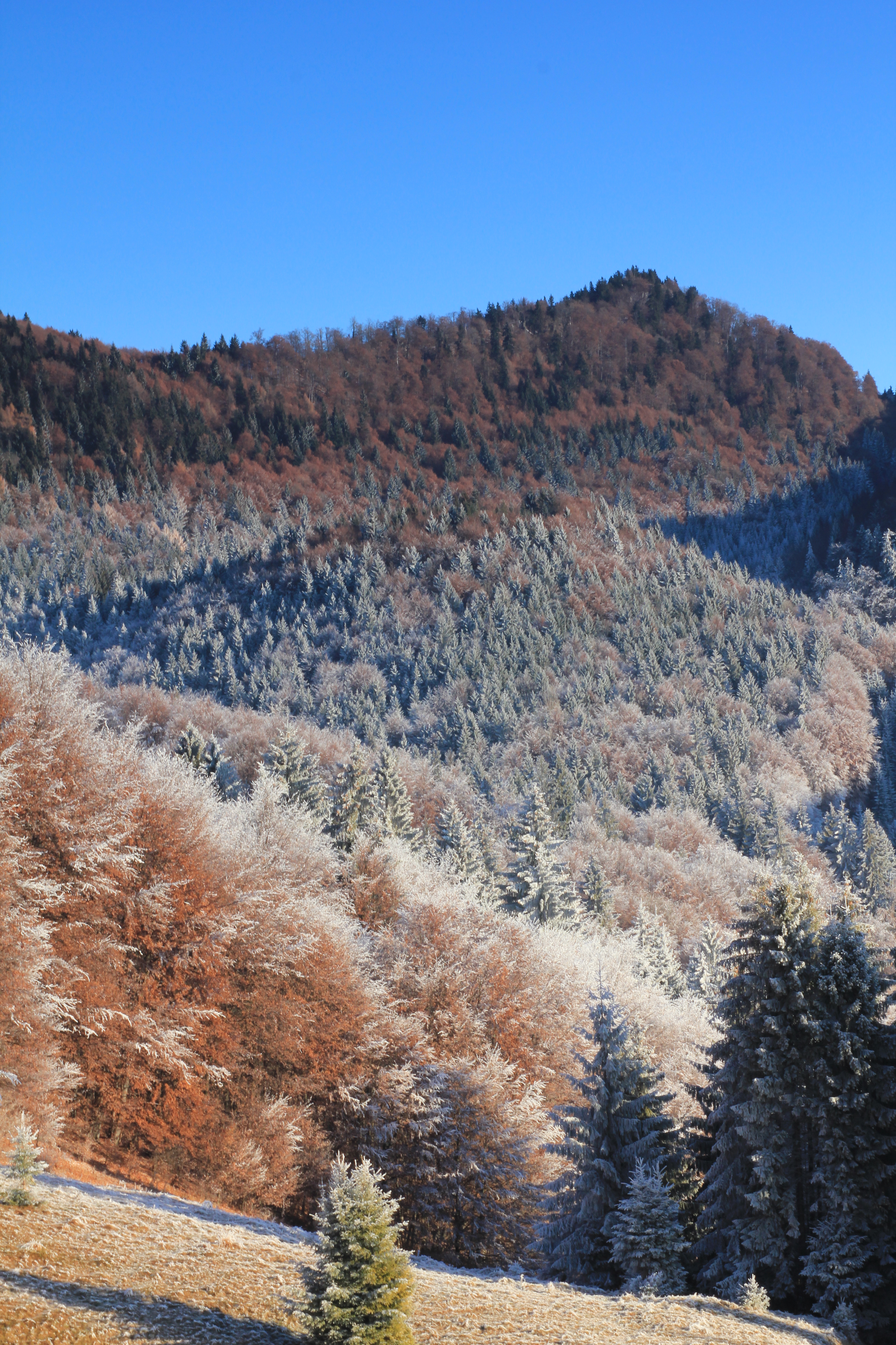 Obchod a služby